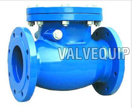 Swing Check Valve