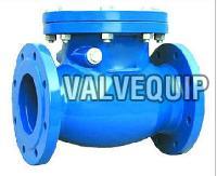 Swing Check Valve